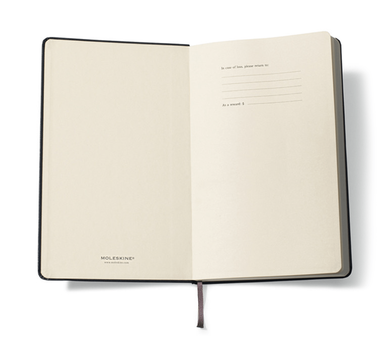 ViewPage_MoleskineHeader_V2